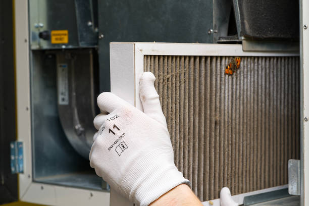 Best Residential Air Duct Cleaning  in Fairview, MT