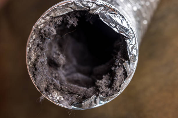 Best Air Duct Cleaning Near Me  in Fairview, MT