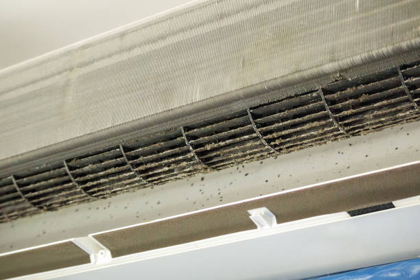 Best Residential Air Duct Cleaning  in Fairview, MT